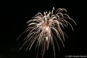 IMG_0992.jpg