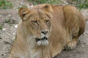 IMG_8851.JPG