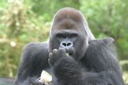 IMG_8868.JPG
