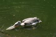 IMG_9379.JPG