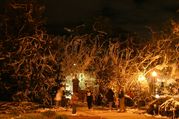 toomers.jpg